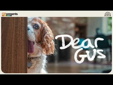 DEAR GUS: A tribute to the best dog