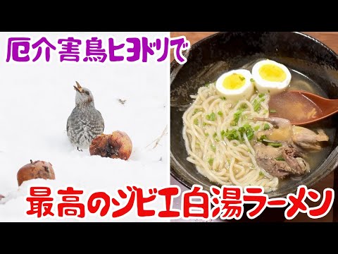 厄介害鳥ヒヨドリで、最高のジビエ白湯ラーメン