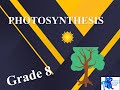 Photosynthesis and Energy Concepts