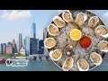 Billion Oyster Project Insights
