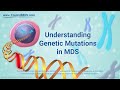 Myelodysplastic Syndromes and Mutations