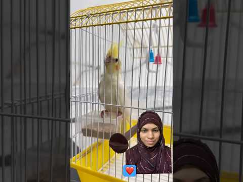Kalma Padhne Wala Tota😭💔🙏 #trending #inspiration #islamic #emotional #shorts
