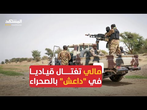 بالتعاون مع الفيلق الإفريقي الروسي الجيش المالي يقتل قياديا من "داعش"