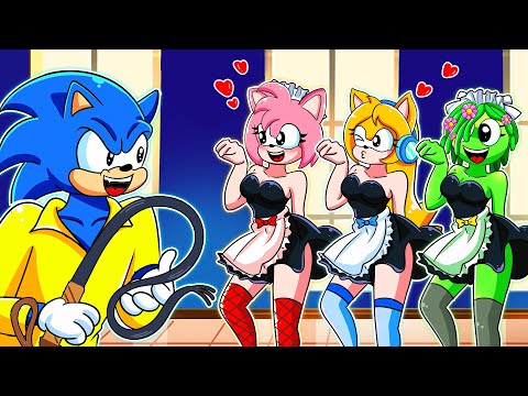 Sonic' s Choice?! Who Is Sonic's Maid?! - Love Story | Sonic The Hedgehog 3 Animation