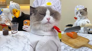 That Little Puff - TikTok Trends in 2025