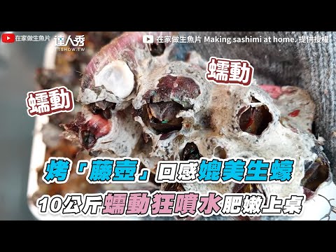 【在家烤「活藤壺」狂噴水！10公斤一起蠕動發出咕嚕聲】｜@在家做生魚片 Making sashimi at home.