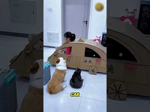 Homemade Car Ride 🚗😲 Kids' Exciting Journey to Mumbai! 🌆🧳 #shortvideo
