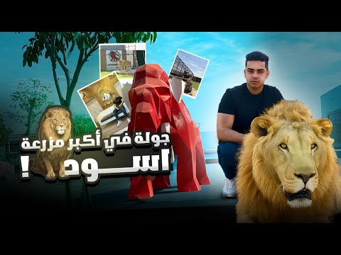 ‏لقيت أسد في الزباله 😲