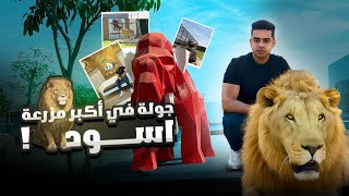 ‏لقيت أسد في الزباله 😲