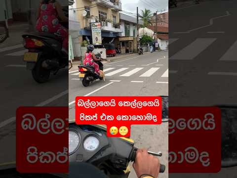 කොහොමද බල්ලගෙයි කෙල්ලගෙයි පිකප් එක🥲රේස් එක එයා දිනුම්😂 #ladybiker #bikerace #girlbikershorts