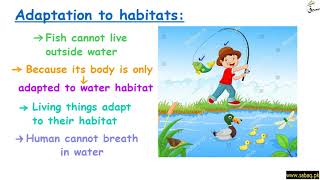 Adaptations to Habitats