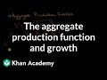 Aggregate Production Function Concepts