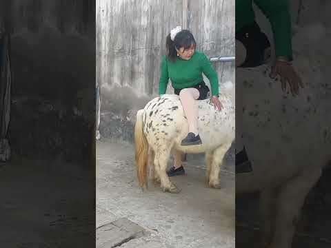 #适合全国各地养殖 #刷到了就是缘分  #funny
