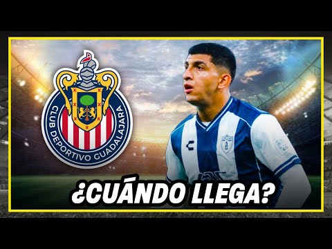 🚨¿Cuándo llega la Cotorra a Guadalajara? | noticias chivas