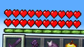 I Reached 20 Hearts on the Lifesteal SMP