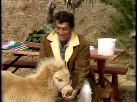 Dean Martin - Gentle On My Mind (animals)