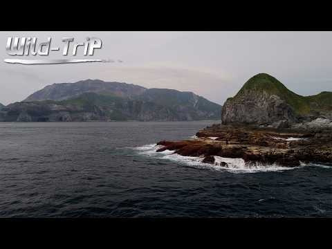 キハダvs鉄人のガチンコ対決!!初の神津島でロックショアゲーム！(前編)｜Wild Trip/鉄人・松岡豪之(1562)