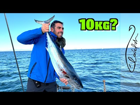 COMBATTO con un TONNO di 10kg e lo CUCINO in barca a vela!