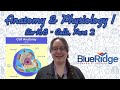 Cell Biology Concepts and Processes