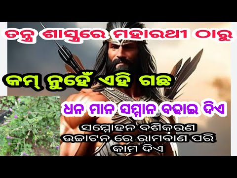 ଧନ ମାନ ସମ୍ମାନ ବସି କରଣ, ସମ୍ମହୋନ, ଉଚ୍ଚାଟନ ର ମହାରଥୀ ବୃକ୍ଷ। ରାମ ବାଣ ପରି କାମ କରେ।