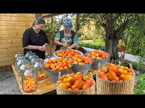 Harvesting Fresh Apricots | Making Apricot Compote and Flower Cookies