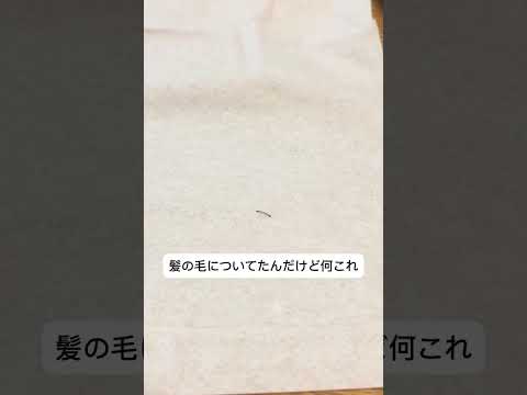 髪の毛についてたんだけど何これ #shorts