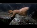 Stomia's Predation and Defense Mechanisms