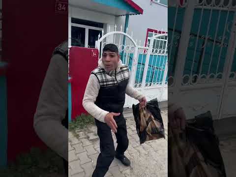Kim dedi köpekten korkuyorum