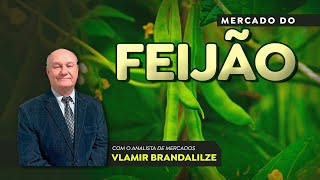 Feijão preto deve ter preço impulsionado pelo carioca .