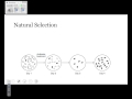 Evolutionary Concepts and Mechanisms