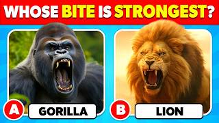 How Good Is Your Knowledge of ANIMALS? 🦁🐘✅ General Knowledge Trivia Quiz