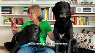 Die Geschichte