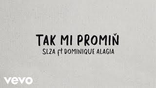 Slza - Tak mi promiň (Lyric Video) ft. Dominique Alagia