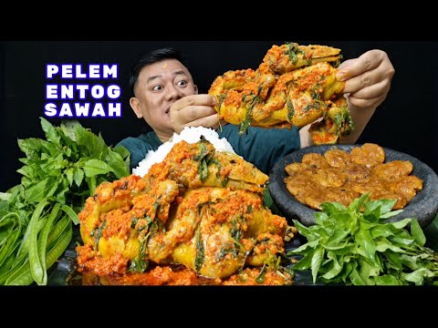 NIKMAT RAOS⁉️ MAKAN JENGKOL + 1 EKOR BEBEK UTUH SAMBEL KEMANGI PEDAS LALAPAN PETE SELONG MENTAH