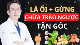 CÁCH CHỮA TRÀO NGƯỢC DẠ DÀY BẰNG LÁ ỔI VÀ GỪNG – Đơn Giản Hiệu Quả Sau 1 Tháng!