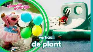 DE PLANT 🪴🎈 | SIMSALA SAARTJE 🐽 | Educatieve kleutertelevisie | Fijne zomervakantie!