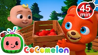 Hungry Boba on the Loose! 🐾 | CoComelon Animal Time | Animals for Kids