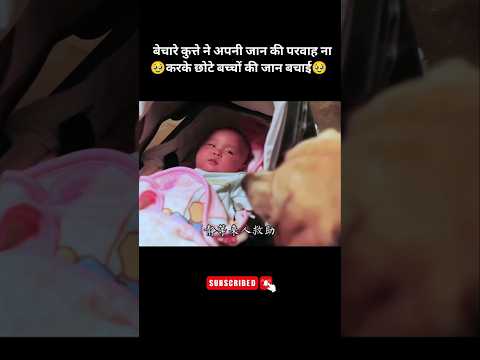 बेचारे कुत्ते ने छोटे बच्चे की जान बचाई 🥹|| #shorts #movie #anime
