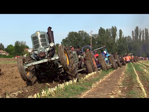 Baura 2024 (sabato PM) - Aratura d'epoca e Landini testacalda | Vintage hot bulb tractors plowing