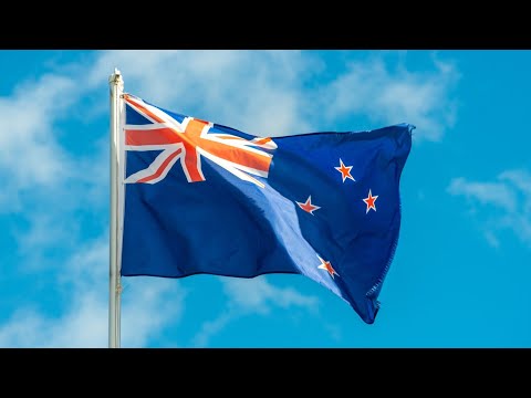 New Zealand treaty bill submissions crash online portal