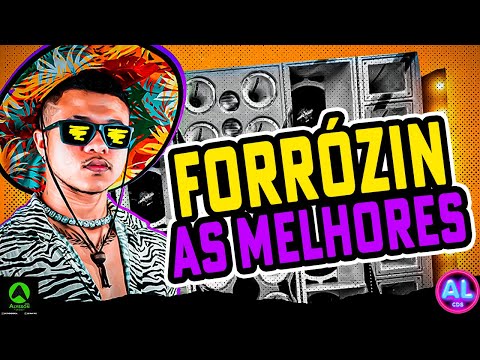 FORRÓZIN 2025 AS MAIS TOCADAS - FORRÓZIN AS MELHORES TIKTOK 2025 - PRA PAREDÃO - RAMONZIN LAPADA