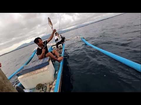 Cara Mancing dan rangkaian pancing ini terbukti tepat saat ikan jarang makan