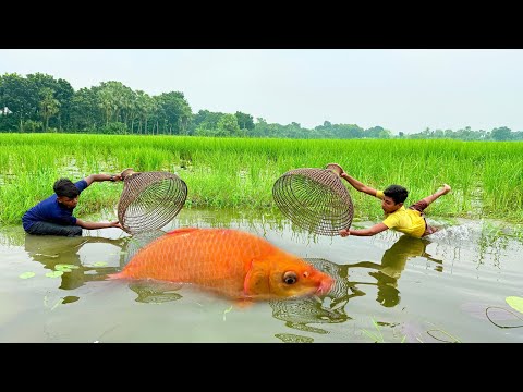 Amazing Fishing Technique || Traditional Boys Catching Fish By Bamboo Tools Polo In The Village Bill