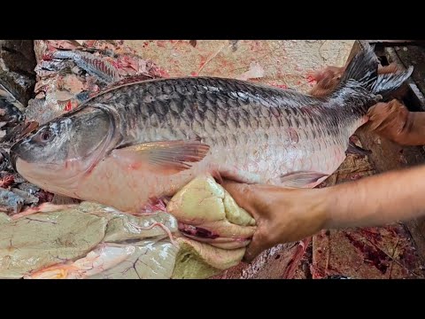 Fish Eggs Collections | 7kg Big Rohu Fish Cutting & Chopping By Expert Fish Cutter