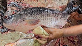 Fish Eggs Collections | 7kg Big Rohu Fish Cutting & Chopping By Expert Fish Cutter