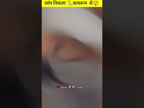 सांप आ गया बाथरूम में | #youtubeshorts #mrfact #viralvideo #trending