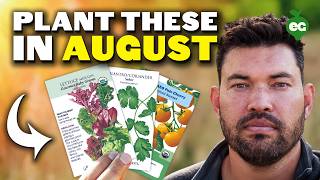11 Crops You Can  STILL Plant August!
