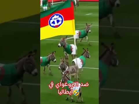 فينما مشاو جايبين الشوهة ...شعب همجي 🤣🤣🤣