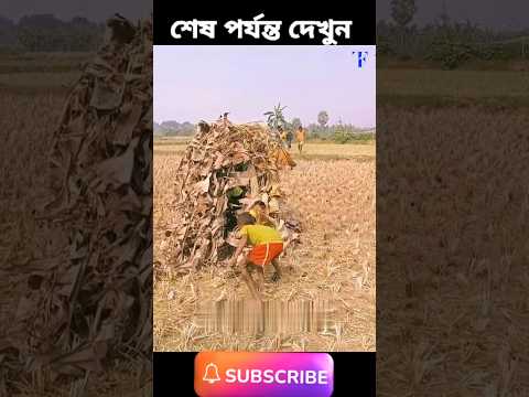 এই বাচ্চাটি মোবাইল চুরি করে নিয়ে আসে #shortvideo #banglarfacts