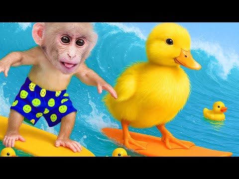 A Day of Splashing Fun with Obi Monkey and Duck